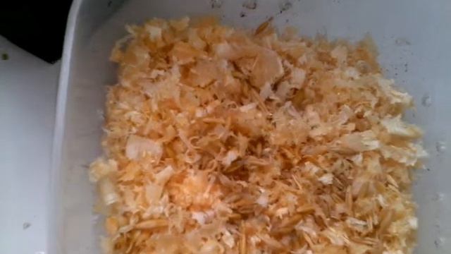 как проростить траву для домашних животных?😉 смотреть онлайн