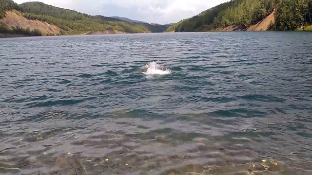 Как ЛЕГКО внедрить в свой отдых на озере Водный Комплекс Смотрите Бесплатно Видео 2016 смотреть онлайн