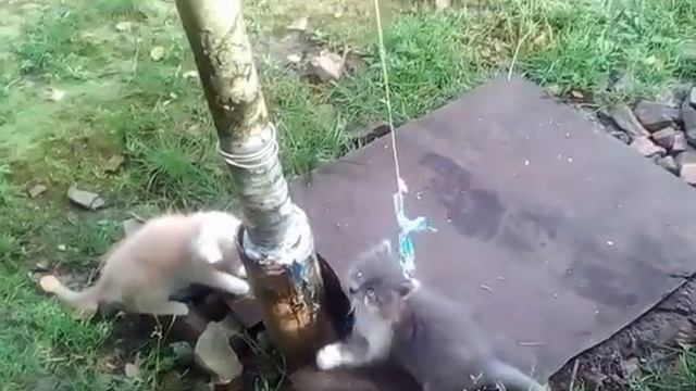 Хорошо смотреть онлайн