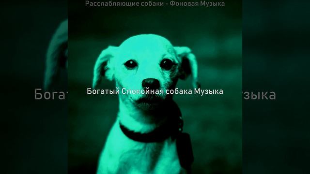 Музыка (Милые Собаки) смотреть онлайн