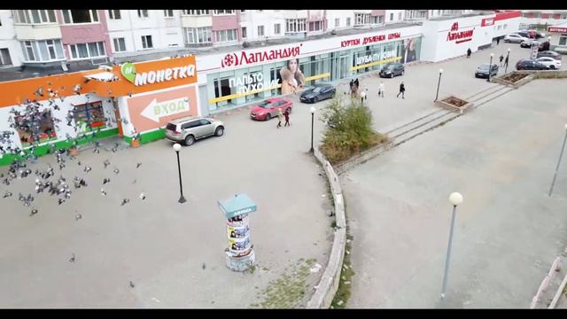 Голуби кружат :)) смотреть онлайн