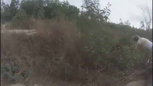 Улетел в кусты смотреть онлайн
