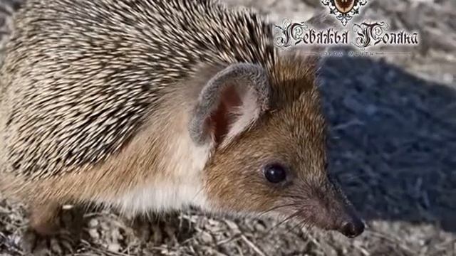 Социальный ролик 1 смотреть онлайн