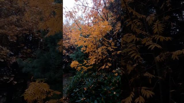 Самый красивый время года смотреть онлайн