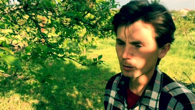 Предупреждаем осыпание плодов сливы весной смотреть онлайн