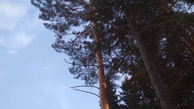 Не могут понять что это и с чем это едят? смотреть онлайн