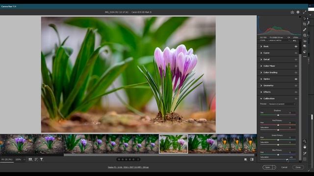 How to edit photos in Adobe CAMERA RAW / LIGHTROOM - Wild Flowers in the Spring смотреть онлайн