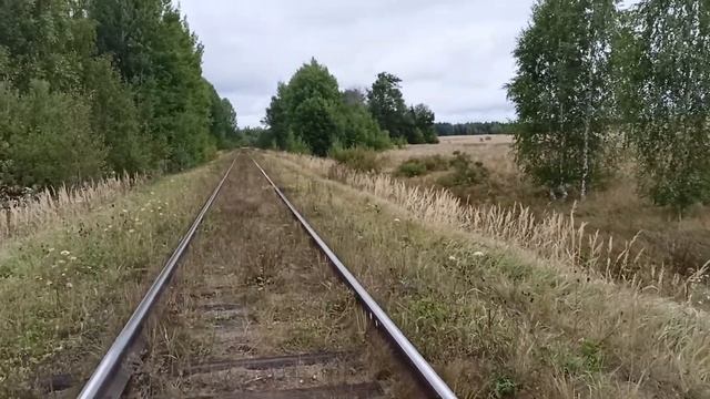 ЖЕЛЕЗНАЯ ДОРОГА смотреть онлайн