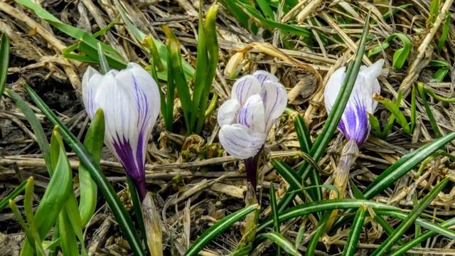 Апрель в Кемерово смотреть онлайн