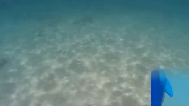 Samae beach - Пляж на острове Ко Лан. Паттайя Таиланд смотреть онлайн