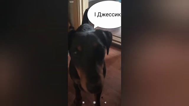 Как зайти в вотсап с пк смотреть онлайн