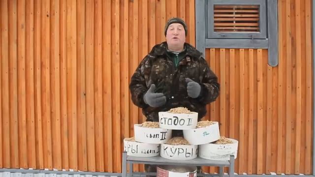 ЯДОВИТОЕ КУРИНОЕ ЯЙЦО !