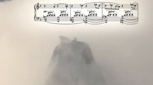 К. Дебюсси, Шаги на снегу