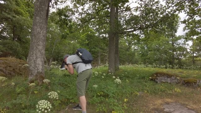 Macro Photography Expedition to Ängsö (OM-1, Olympus 60mm, Raynox DCR-250, Godox v350, Cygnustech) смотреть онлайн
