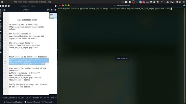 SQL injection Demo - short version смотреть онлайн