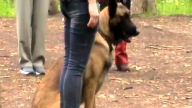 ОКД. Место. смотреть онлайн