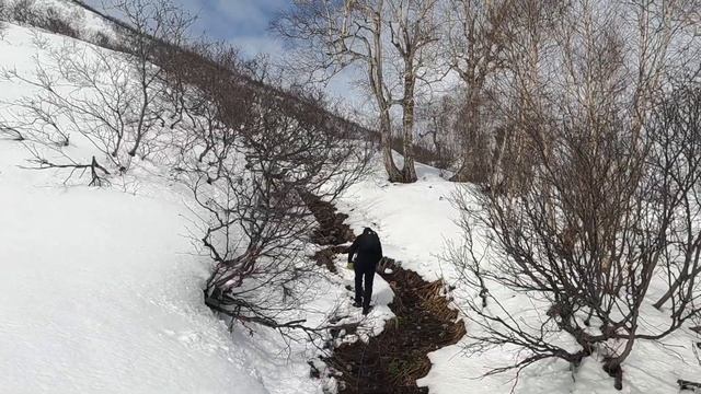 Камчатка, не проехали на Опалу заехали на Верхне-паратунские горячие источники. смотреть онлайн