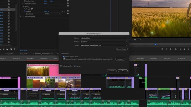 Adobe Dynamic Linking 101 смотреть онлайн