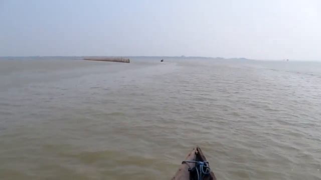 Irrawaddy Dolphin at Chilika Lake смотреть онлайн