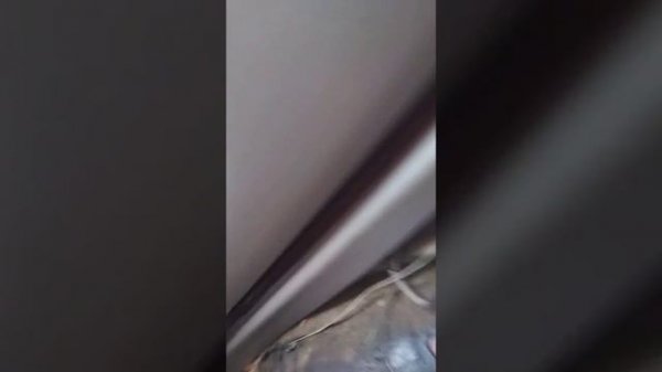 Не открывается задняя дверь Nissan