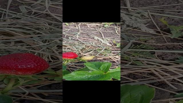 КУСОЧЕК ЛЕТА... смотреть онлайн