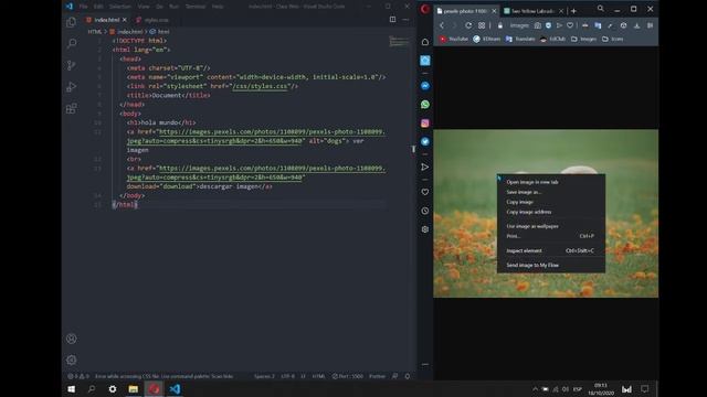 Descargar archivos en HTML utilizando el atributo download | #WilCODE смотреть онлайн
