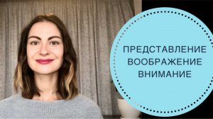 ПОЗНАВАТЕЛЬНЫЕ ПСИХИЧЕСКИЕ ПРОЦЕССЫ: ПРЕСТАВЛЕНИЕ / ВООБРАЖЕНИЕ / ВНИМАНИЕ
