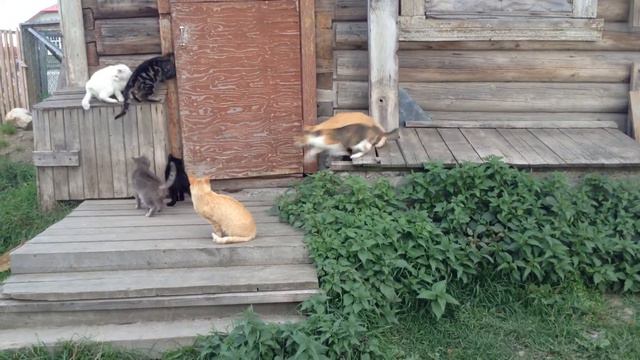 Аня выходит из дома смотреть онлайн
