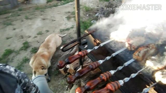 ХОЧУ ПОЖРАТЬ/ШАШЛЫК/РЁБРА СВИНЫЕ И КАРБОНАТ!!! смотреть онлайн