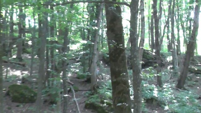 00450 смотреть онлайн