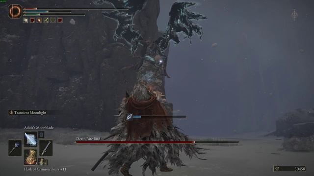 ELDEN RING bird asking for help cause it stuck смотреть онлайн