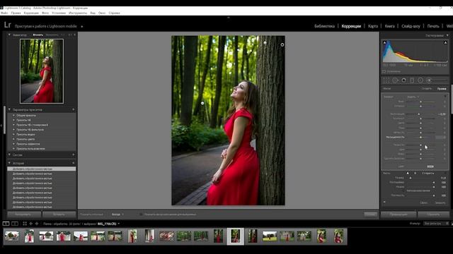05. Уроки по обработке фото в Lightroom. Градиенты и кисти смотреть онлайн