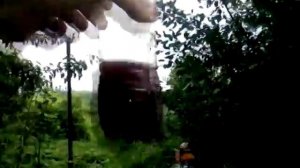 осветление сливового вина хитозаном ч2