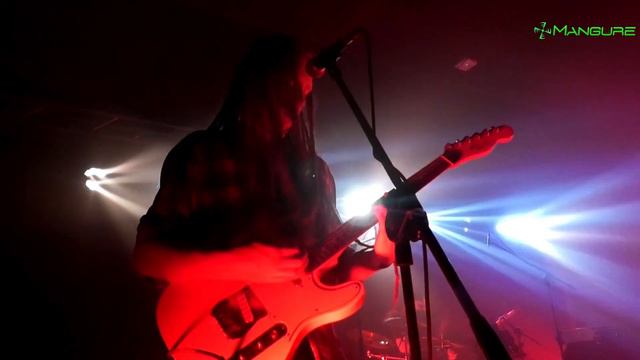 GA - GA ZIELONE ŻABKI - fragment koncertu смотреть онлайн