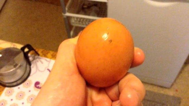 ВАРИМ яйца с иголкой, или как сварить и почистить яйцо на раз-два \ТОП - 1 смотреть онлайн