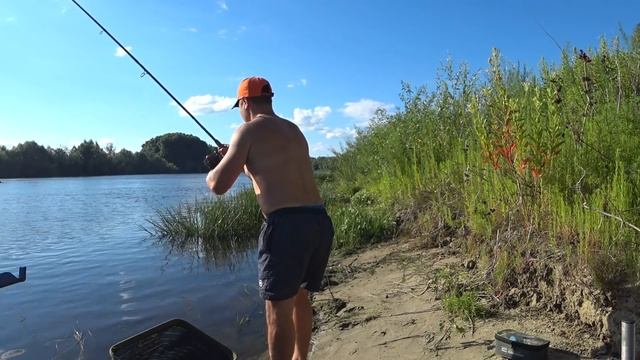 СУДАК НА ЖИВЦА. ЛОВИЛ НА ФИДЕР, ПРИШЕЛ СУДАК смотреть онлайн