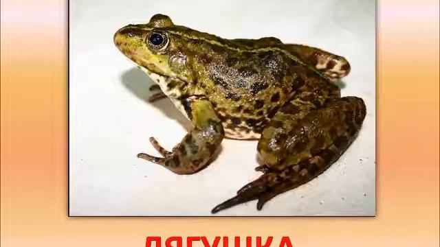 Закрепляем звук Ш. Часть 2 смотреть онлайн