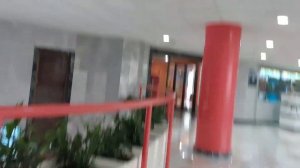 обзор на отель самшитовая роща