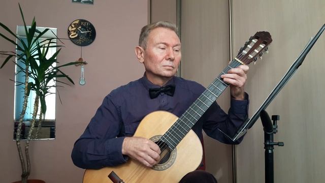 Джон Уильямс. Гарри Поттер (фрагмент главной темы). Обработка О. Копенкова смотреть онлайн