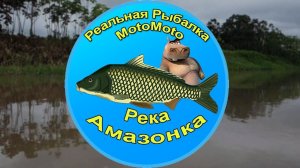 Амазонка | Реальная Рыбалка
