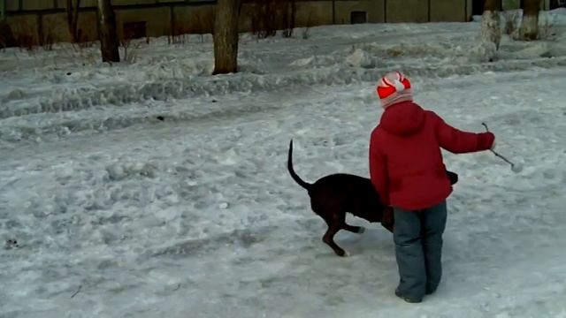 Берта и Ангелина смотреть онлайн