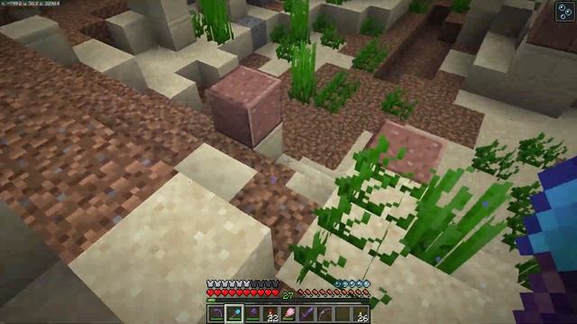 Minecraft | S07E52 | Sniffer vejce a korály | CZ Lets Play | 1.20.2 смотреть онлайн