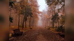 осень - нервы