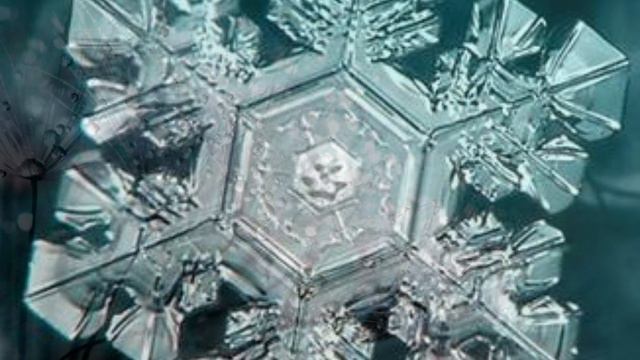 Божественность проявленного мира смотреть онлайн