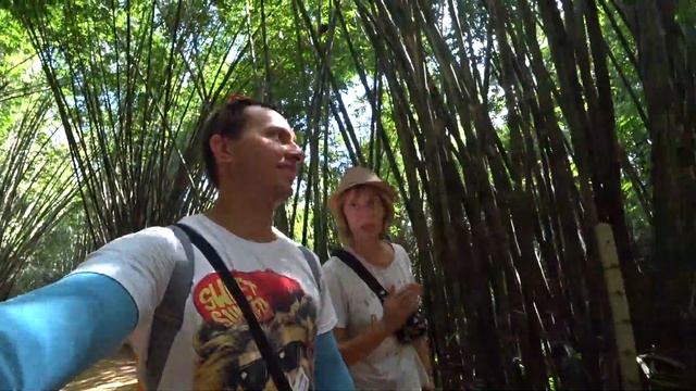 НАЦИОНАЛЬНЫЙ ПАРК КАО СОК | Топ достопримечательность Таиланда | National Park Khao Sok смотреть онлайн