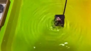 Погружной водяной насос для фонтана(аквариума) на солнечной батарее 7V/1.4W