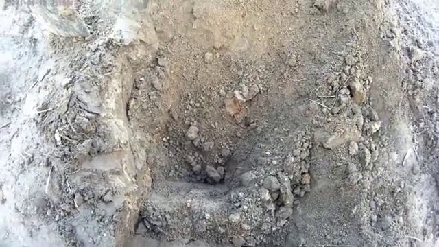 Металлокоп на своем участке смотреть онлайн