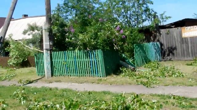 Срубаем очень большой тополь смотреть онлайн