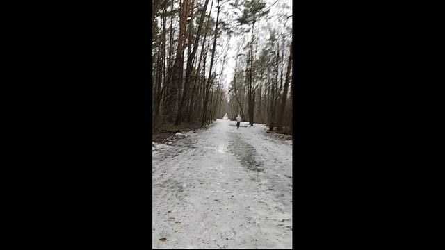 Утренняя пробежка 02.04.23