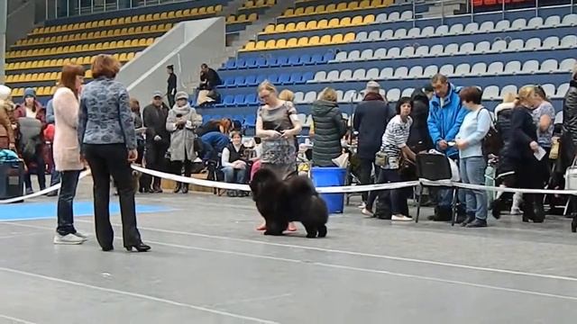 Рубин Астерхаус Паркс Роза Ли смотреть онлайн